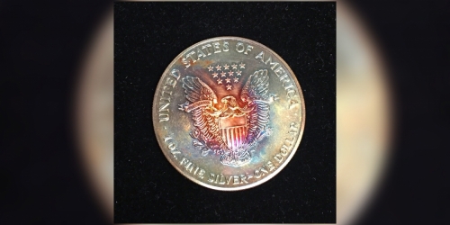Beautifully Toned American Silver Eagle Bullion Coin